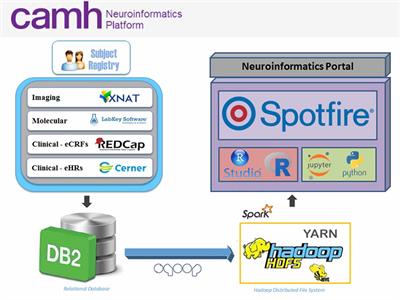 The CAMH Neuroinformatics Platform: A Hospital-Focused Brain-CODE Implementation